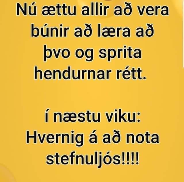 stefnuljós.jpg