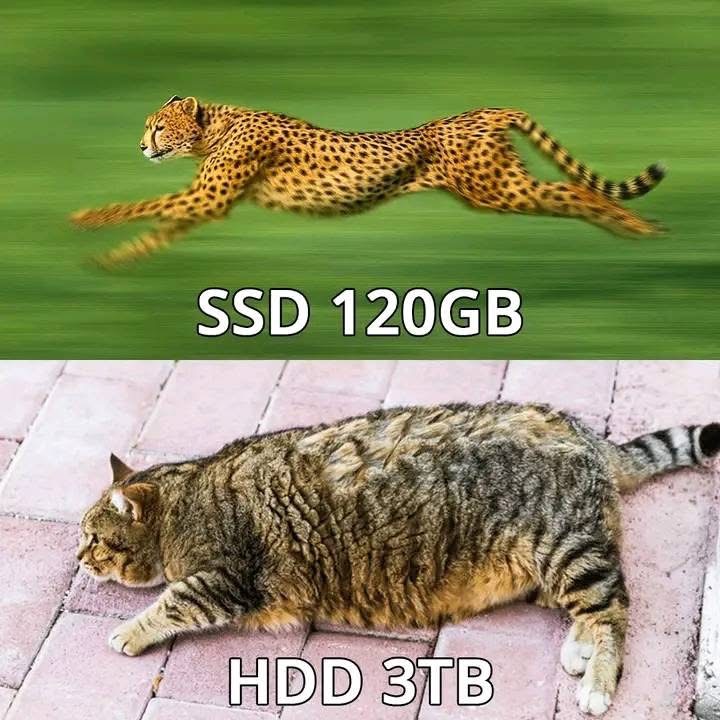 IMG_4656.jpeg