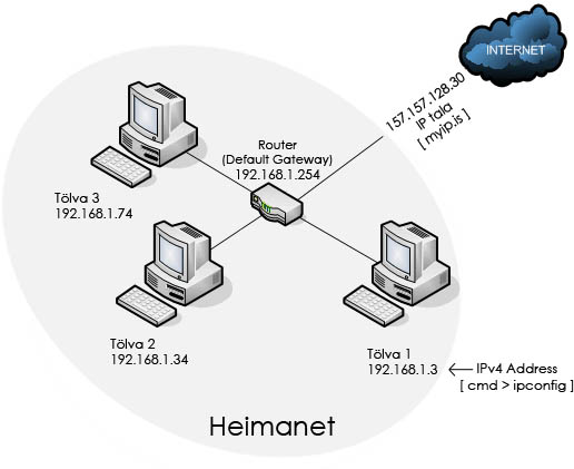 heimanet vs internet.jpg